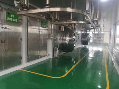 真空冷凍干燥機廠家講起源歷程 真空冷凍干燥機廠家講起源歷程